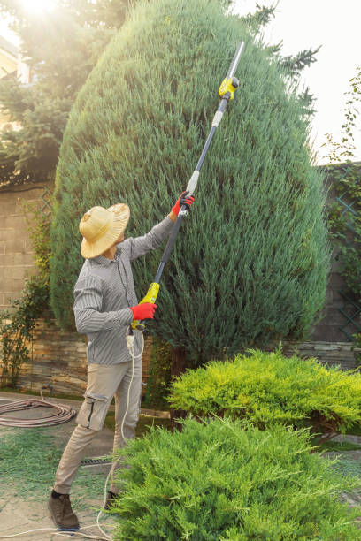 Best Pest Control for Lawns  in Raubsville, PA